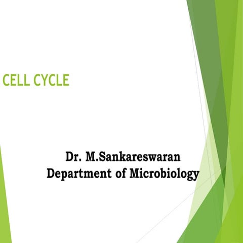 Cell cycle