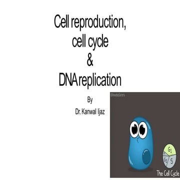 Cell cycle.pptx