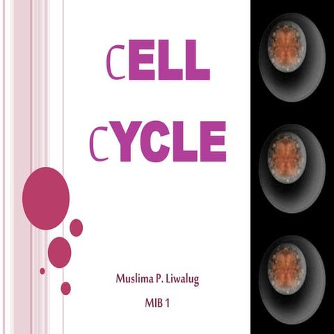 Cell Cycle