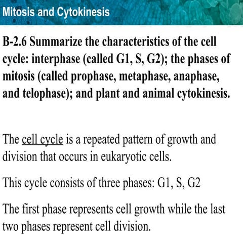 Cell Cycle yang juga mudah di pahami (1).ppt