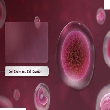 Presentation on cell cycle | PPTX