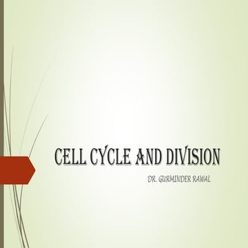 Cell cycle and division