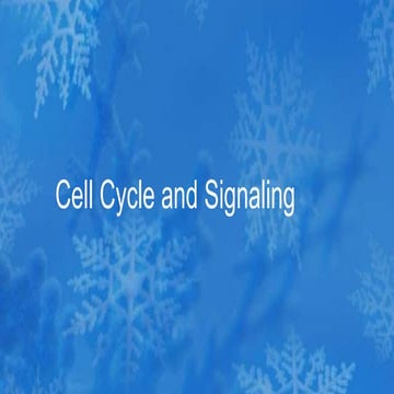 Cell cycle and signaling