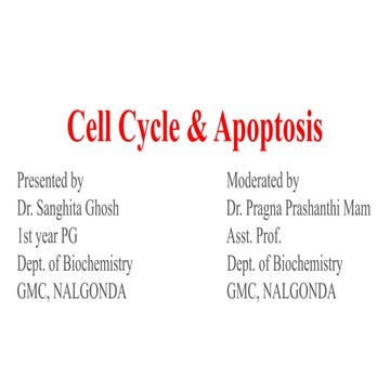 Cell Cycle & Apoptosis in detail. .pdf