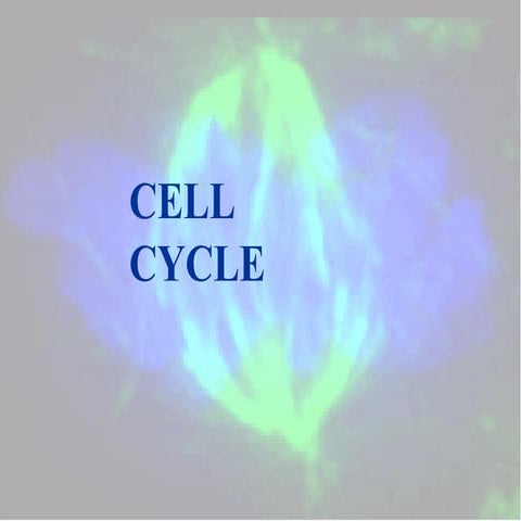 Cell Cycle, Cell cycle Check Points, Cell cycle regulation and Tumor Suppress...