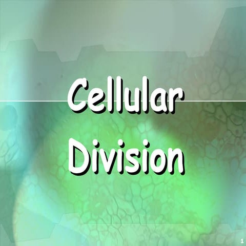 Cell cycle & cell division