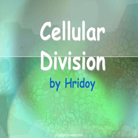 Cell cycle & cell division