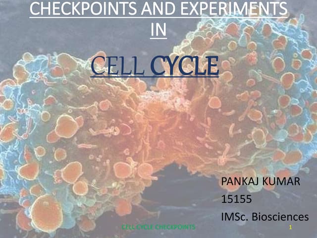 Cell Cycle Regulation Ppt