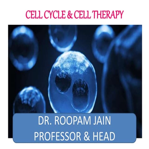 CELL CYCLE & A CONCEPT OF CELL THERAPY