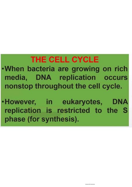 Cell cycle, multiple replicones per chromosome. 