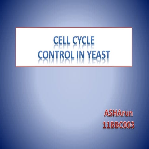 Cell cycle 