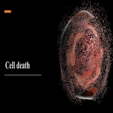 Cell Cycle and Cell Death.pptx