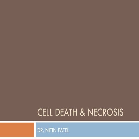 cell death & necrosis.pptddrghfddetygfdeee