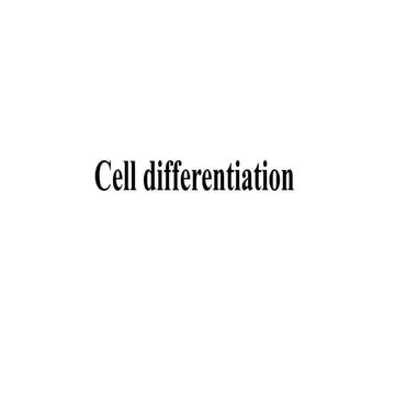 Cell differentiation.pptx and cell division | PPTX
