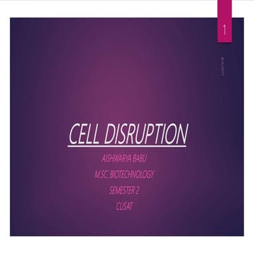 Cell disruption methods