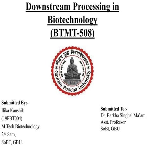 Cell Disruption Strategies in Downstream Processing