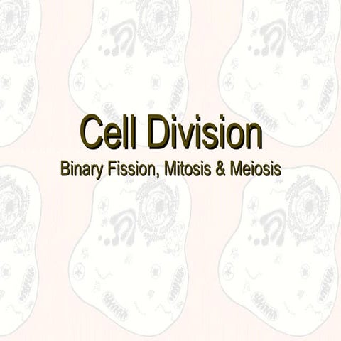 Cell Division