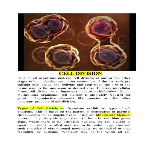Cell division