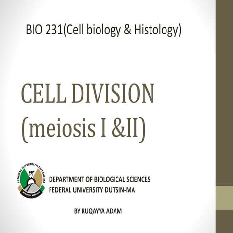 8. slide of lily anther 1(meiosis) | PPTX