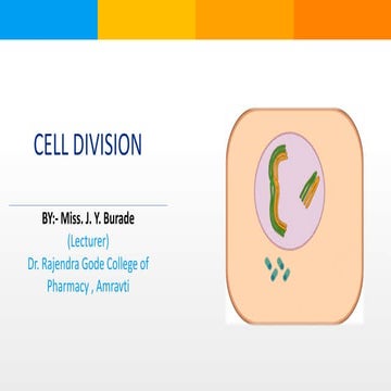 cell division.pptx