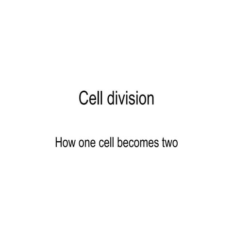 Cell division in human ( M - phase and interphase)