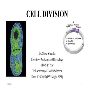 Cell Division, Cell Cycle and Abnormal Cell Divisionpptx