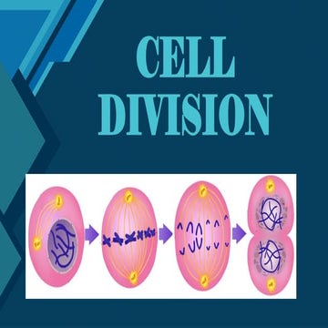CELL DIVISION. a prsenattion in science 7 | PPTX