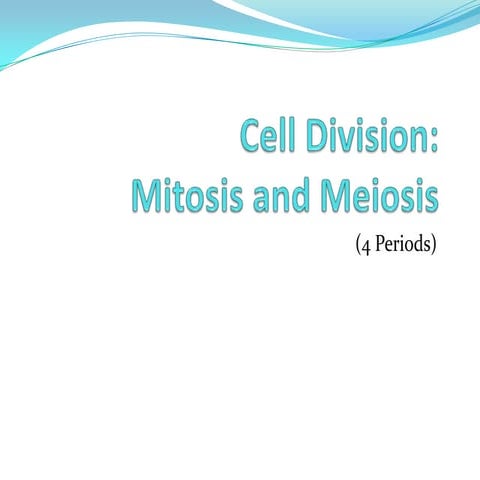 Cell division- meiosis