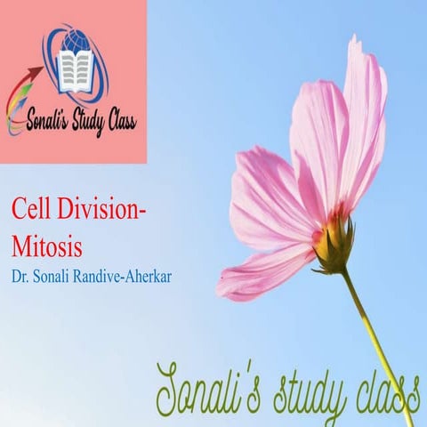 cell division- mitosis.pptx