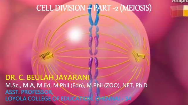 CELL DIVISION Biology Diagrams
