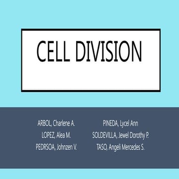 Cell division   powerpoint