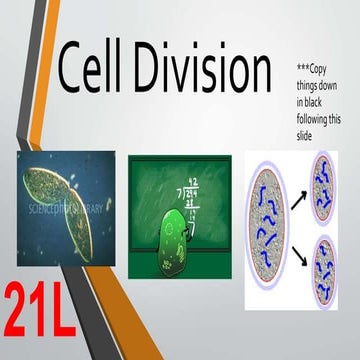 Cell division 7th