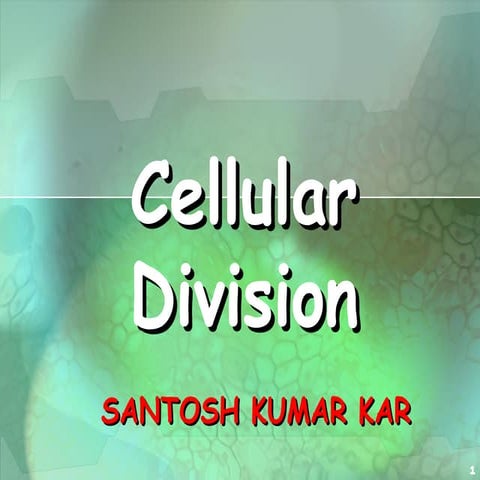 Cell division best