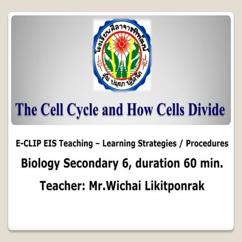 Celldivision mee