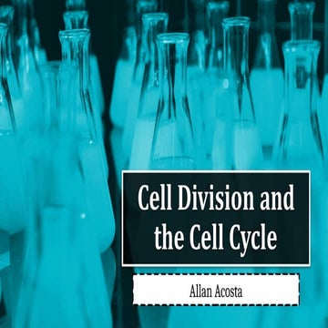 Detailed Overview of Cell Division Stages and Processes | PPTX