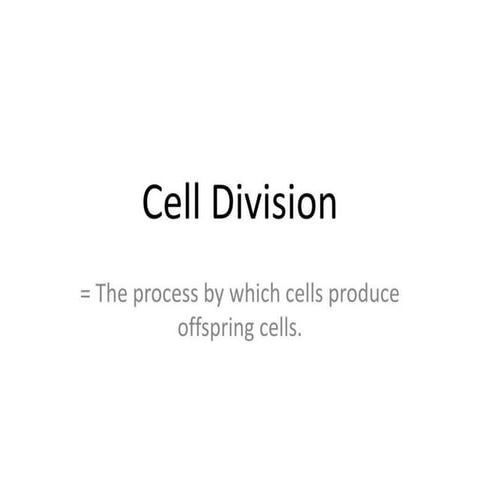 CELL DIVISION DEFINITION ANATOMY AND PHYSIOLOGY visual data 6