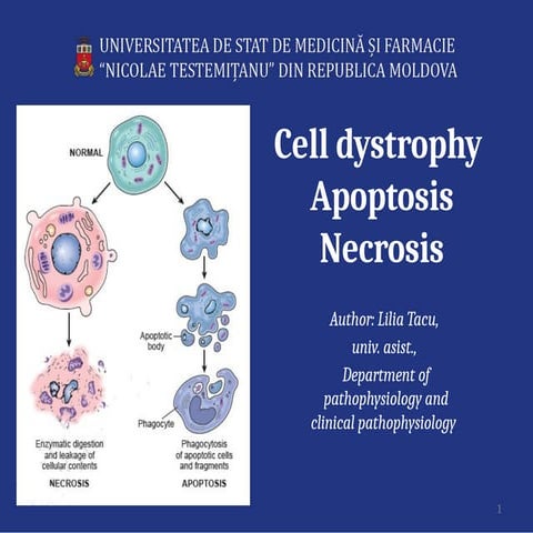 cell_dystrophy__apoptosis__necrosis-76750.pptx