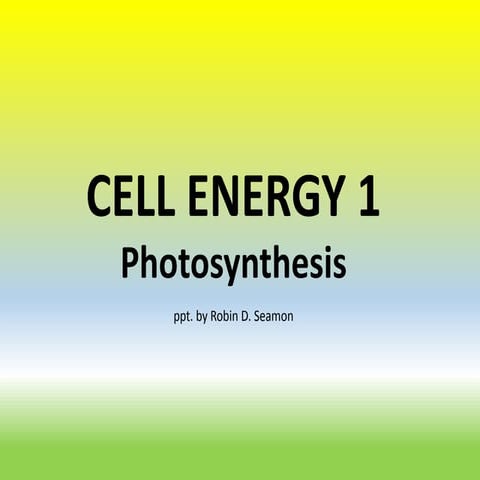 Cell energy 1: Photosynthesis