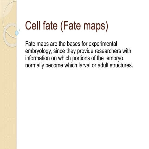Cell fate (fate maps)