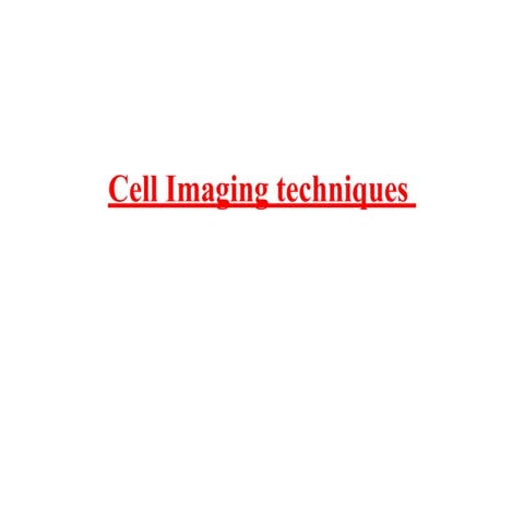 Cell imaging techniques detailed presentation