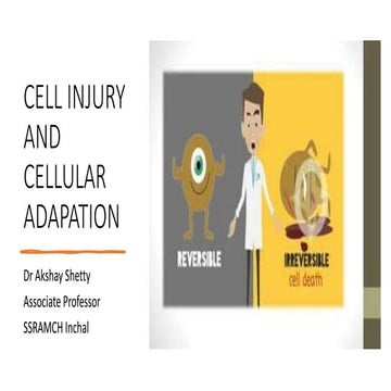 Cell injury and Cellular Adaption Dr Akshay Shetty.pptx