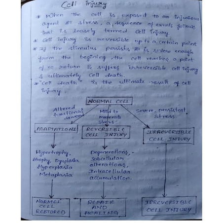 CELL INJURY - Types, Mechanism,Causes...pdf