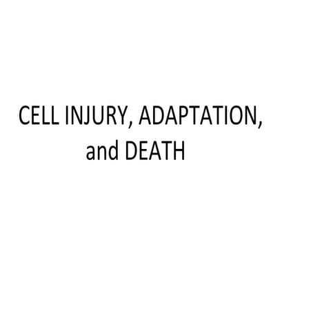 Cell injury, adaptation, and death fix 