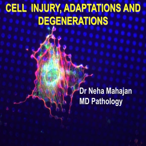 Cell injury and degenerations