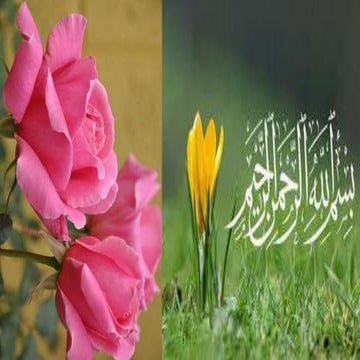 Cell injury< Necrosis