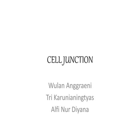 Cell junction