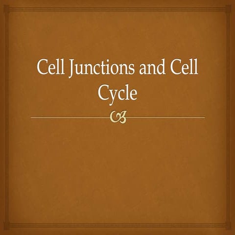 Cell junctions and cell division
