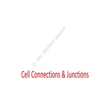 Cell Junctions