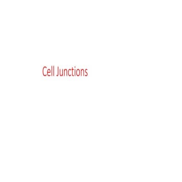Cell Junctions 