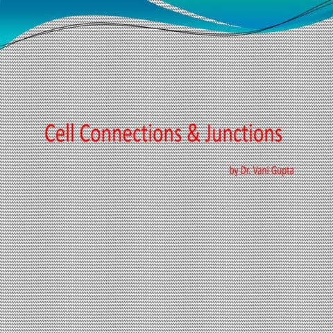 Cell_Junctions epithelium 2024- febr.ppt